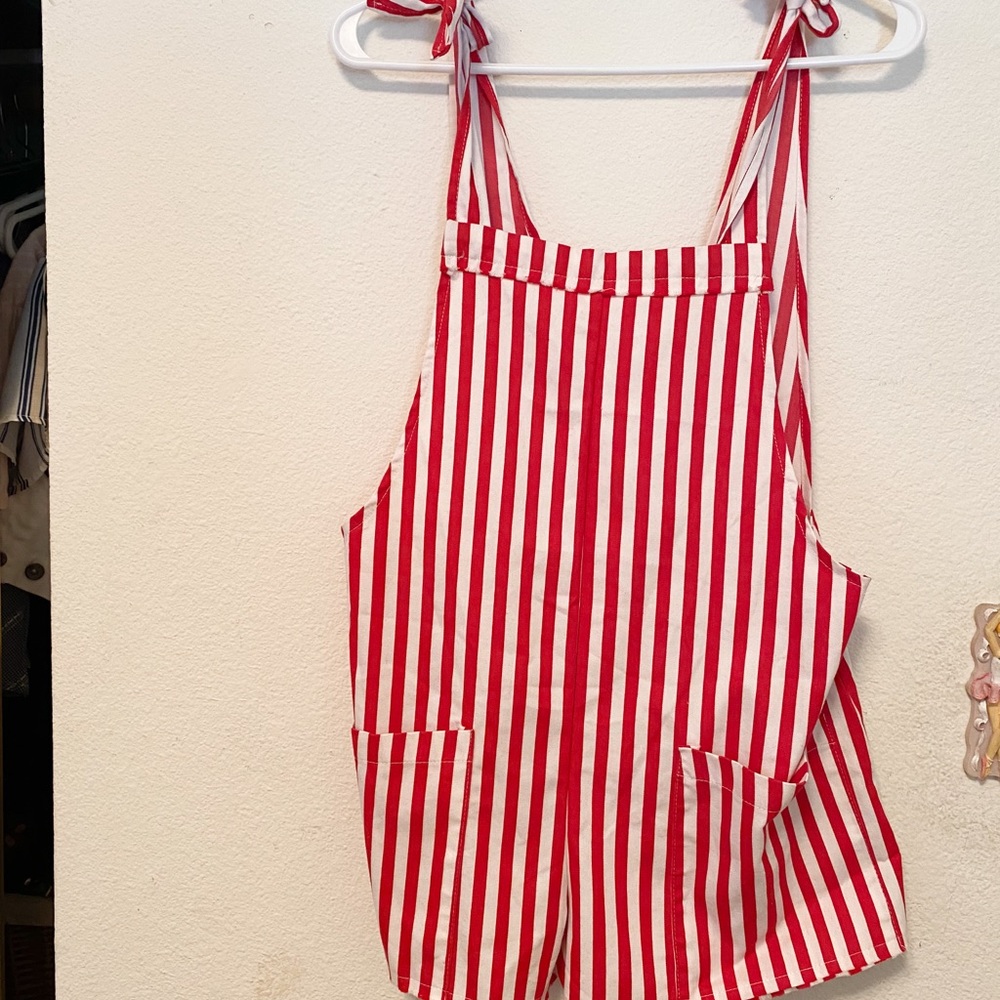 Princess Polly striped overralls